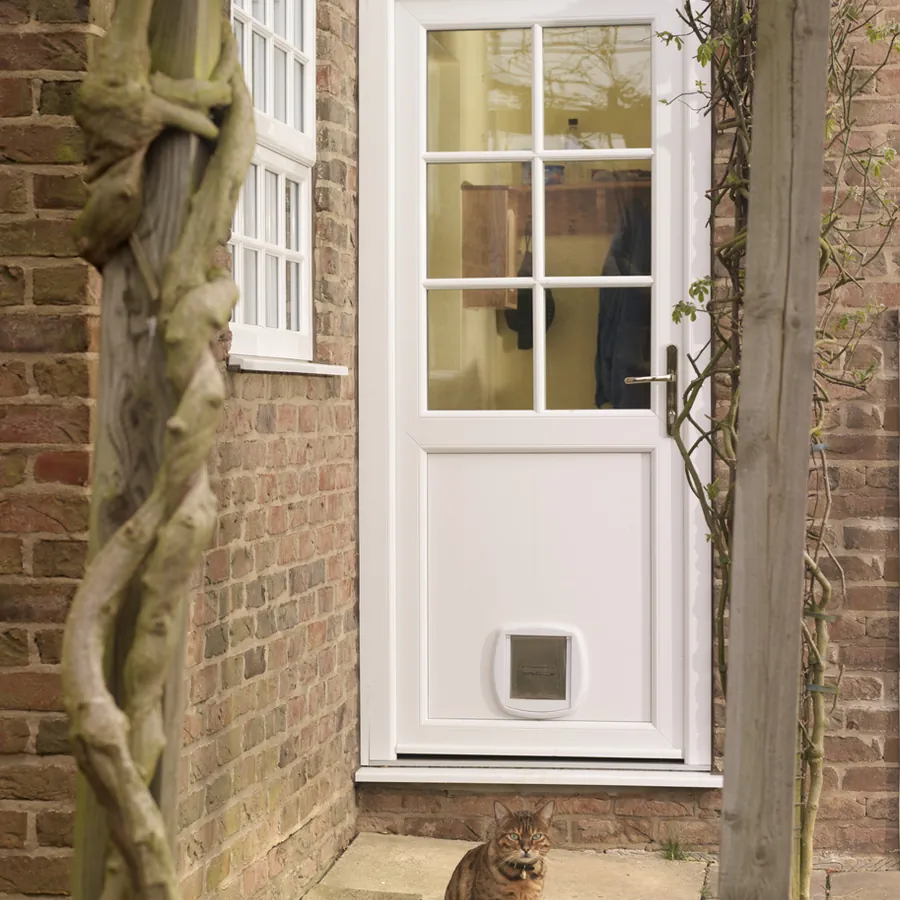 Composite Shepherd's Bush